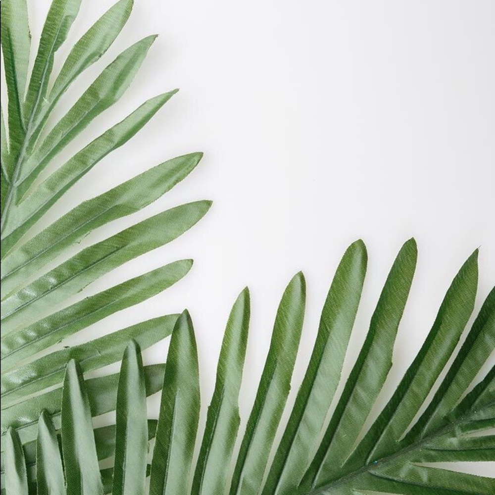 Meet your Posher, Bee